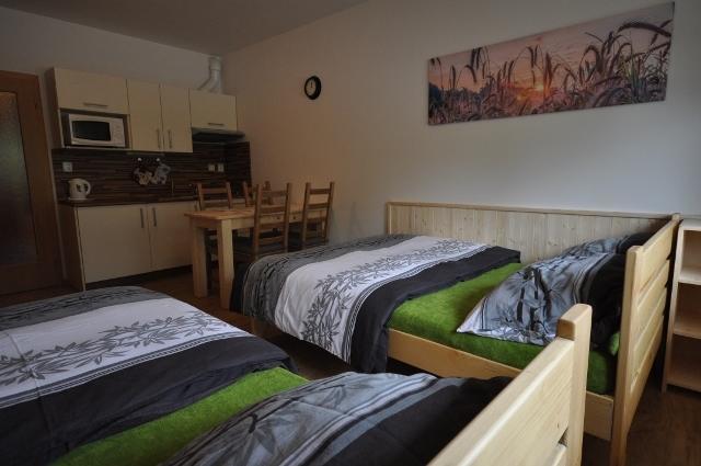 Studio Apartments Lipno 22, 24 Lipno nad Vltavou Habitación foto