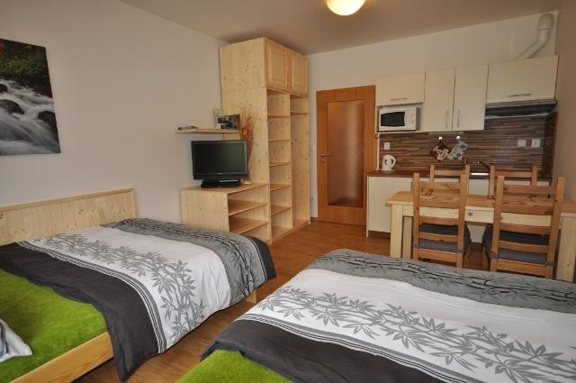 Studio Apartments Lipno 22, 24 Lipno nad Vltavou Habitación foto